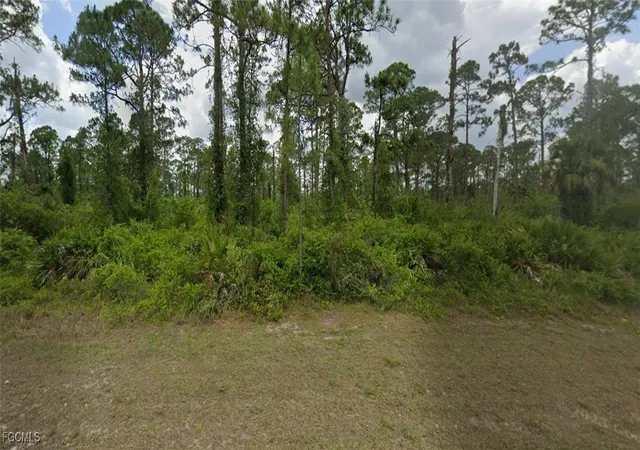 Photo 1 of Land for sale at 2017 Columbus Ave, Alva, FL 33920 | MLS# 2025025252 | Listing updated on 2026-08-26