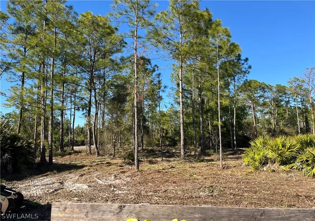 Photo 1 of Land for sale at 314 Spokane Ave, Lehigh Acres, FL 33972 | MLS# 226009305 | Listing updated on 2026-08-23