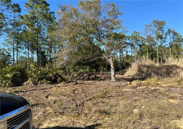 Photo 2 of Land for sale at 314 Spokane Ave, Lehigh Acres, FL 33972 | MLS# 226009305 | Listing updated on 2026-08-23
