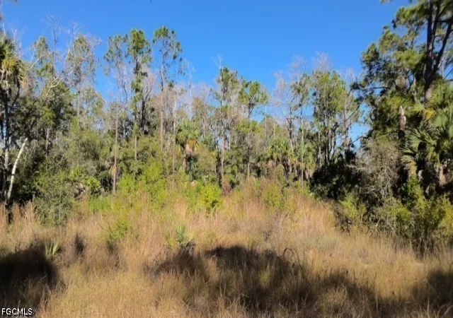 Land for sale at 412 Lakeridge Blvd, Lehigh Acres, FL 33972 | MLS# 2026021609