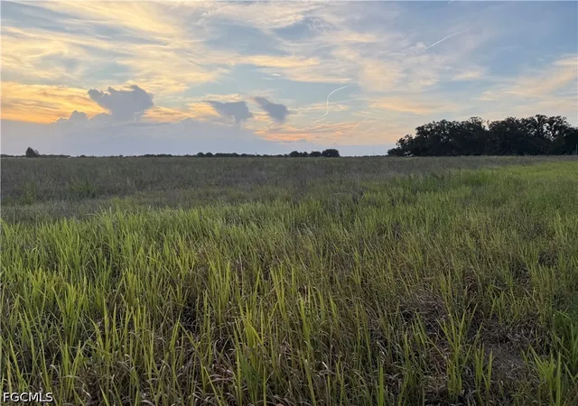 Photo 1 of Land for sale at Rest Hvn Rd, Zolfo Springs, FL 33890 | MLS# 2026023229 | Listing updated on 2026-08-24