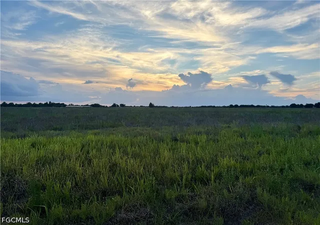 Photo 3 of Land for sale at Rest Hvn Rd, Zolfo Springs, FL 33890 | MLS# 2026023229 | Listing updated on 2026-08-24