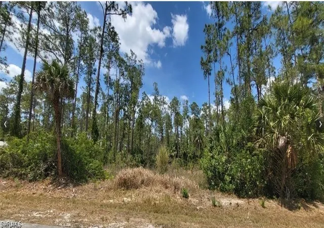 Photo 1 of Land for sale at 4045 12th Avenue Se, Naples, FL 34117 | MLS# 226024601 | Listing updated on 2026-08-18