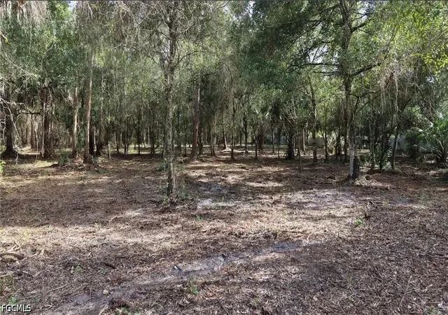 Photo 1 of Land for sale at 824 Woodland Blvd, Clewiston, FL 33440 | MLS# 2026030427 | Listing updated on 2026-08-20