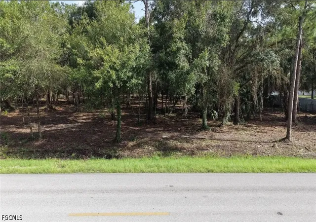 Photo 2 of Land for sale at 824 Woodland Blvd, Clewiston, FL 33440 | MLS# 2026030427 | Listing updated on 2026-08-20
