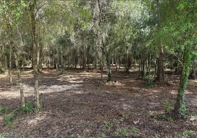 Photo 3 of Land for sale at 824 Woodland Blvd, Clewiston, FL 33440 | MLS# 2026030427 | Listing updated on 2026-08-20