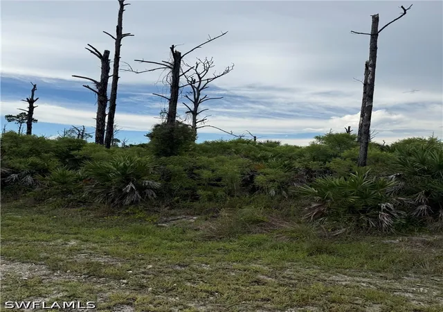 Photo 1 of Land for sale at 0 22nd Avenue Nw, Naples, FL 34120 | MLS# 226026695 | Listing updated on 2026-08-22