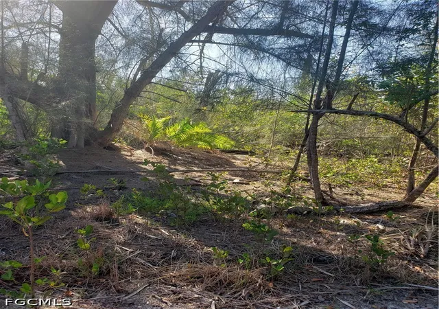 Photo 3 of Land for sale at Tbd Masters Landing Dr, St James City, FL 33956 | MLS# 2026031044 | Listing updated on 2026-08-27