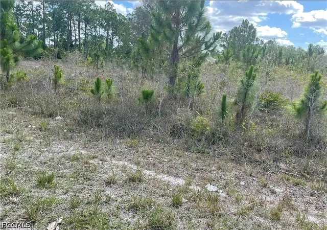 Photo 1 of Land for sale at 761/763 Bedford Dr, Lehigh Acres, FL 33974 | MLS# 2026032215 | Listing updated on 2026-08-19