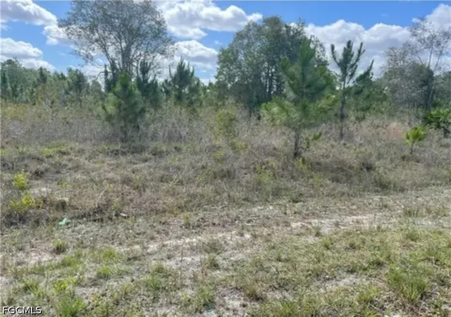 Photo 2 of Land for sale at 761/763 Bedford Dr, Lehigh Acres, FL 33974 | MLS# 2026032215 | Listing updated on 2026-08-19