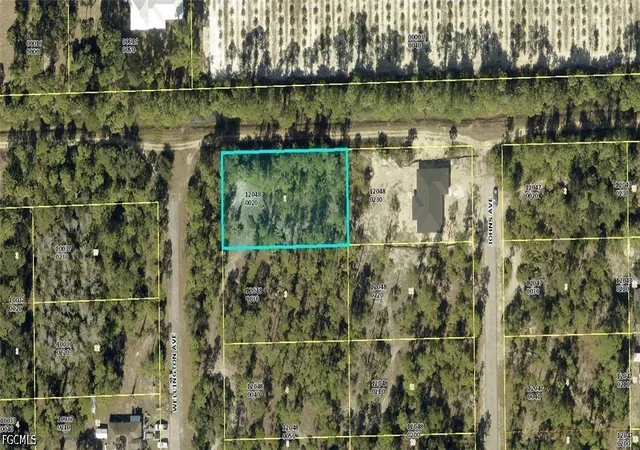 Photo 3 of Land for sale at 2320 Wellington Ave, Alva, FL 33920 | MLS# 2026033265 | Listing updated on 2026-08-18