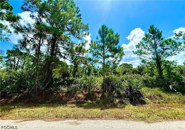 Photo 1 of Land for sale at 1198 Pine Ave, Lehigh Acres, FL 33972 | MLS# 2026034201 | Listing updated on 2026-08-13