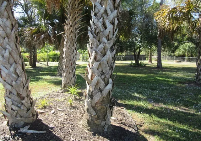 Photo 4 of Land for sale at 419 Broadway Ave, Lehigh Acres, FL 33972 | MLS# 2026034222 | Listing updated on 2026-08-12