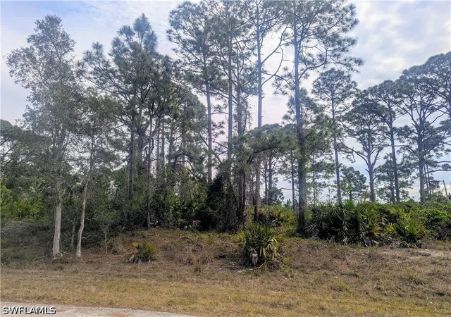 Photo 3 of Land for sale at 705 Bedford Dr, Lehigh Acres, FL 33974 | MLS# 226029338 | Listing updated on 2026-08-13