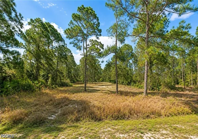 Photo 1 of Land for sale at 2206 Jefferson Ave, Alva, FL 33920 | MLS# 2026034481 | Listing updated on 2026-08-15