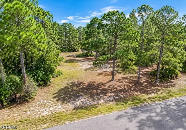Photo 2 of Land for sale at 2206 Jefferson Ave, Alva, FL 33920 | MLS# 2026034481 | Listing updated on 2026-08-15