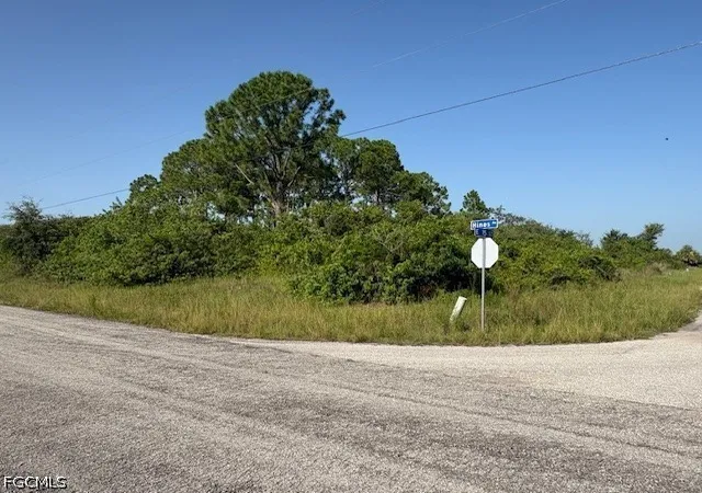 Photo 2 of Land for sale at 1423 Hines Ave, Lehigh Acres, FL 33972 | MLS# 2026034765 | Listing updated on 2026-08-18