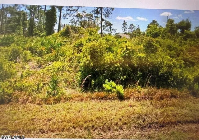 Photo 1 of Land for sale at 12145 Snow Bird Ave, Port Charlotte, FL 33981 | MLS# 226029832 | Listing updated on 2026-08-18