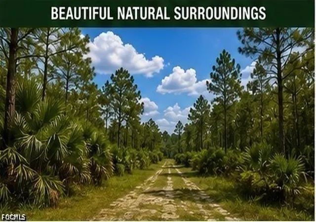 Photo 3 of Land for sale at 43051 Farabee Rd, Punta Gorda, FL 33982 | MLS# 2026035121 | Listing updated on 2026-08-20