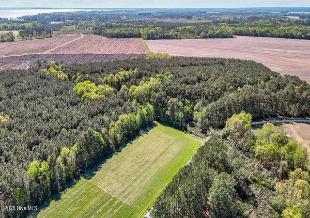 Photo 3 of Land for sale at 646 N Creek Dr, Belhaven, NC 27810 | MLS# 100597125 | Listing updated on 2026-08-19
