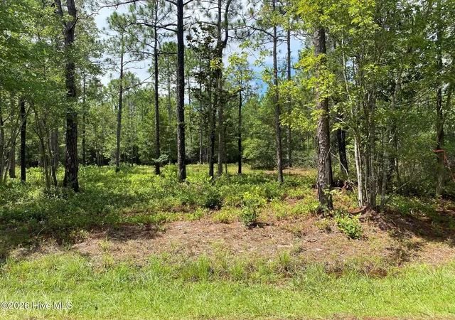 Photo 1 of Land for sale at 361 Ash Rd, Southport, NC 28461 | MLS# 100594359 | Listing updated on 2026-08-19