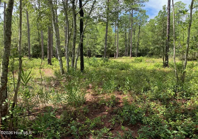 Photo 2 of Land for sale at 361 Ash Rd, Southport, NC 28461 | MLS# 100594359 | Listing updated on 2026-08-19