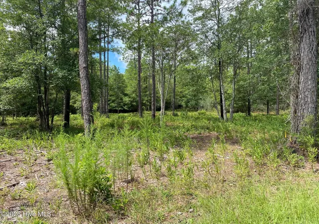 Photo 3 of Land for sale at 361 Ash Rd, Southport, NC 28461 | MLS# 100594359 | Listing updated on 2026-08-19