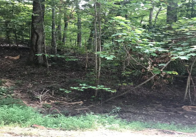 Photo 1 of Land for sale at Lot 8 Vista Loop Rd, Bryson City, NC 28713 | MLS# 100589869 | Listing updated on 2026-08-19