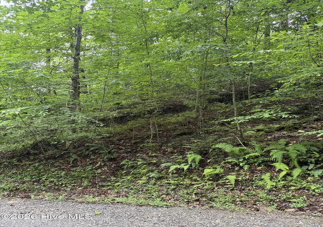 Photo 3 of Land for sale at Lot 8 Vista Loop Rd, Bryson City, NC 28713 | MLS# 100589869 | Listing updated on 2026-08-19