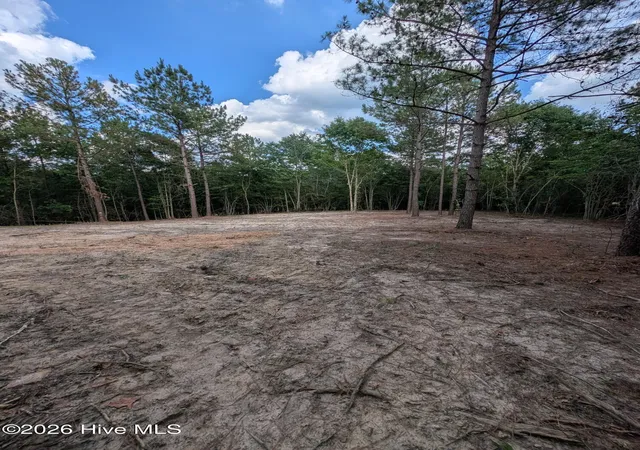 Photo 1 of Land for sale at Tbd Peyton Dr, Eagle Springs, NC 27242 | MLS# 100591264 | Listing updated on 2026-08-19