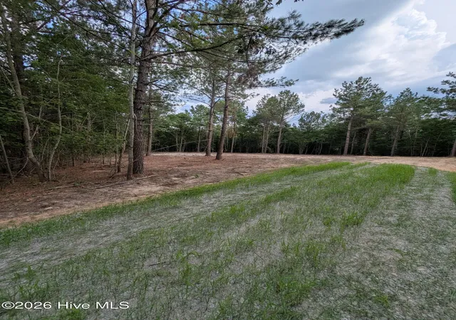 Photo 3 of Land for sale at Tbd Peyton Dr, Eagle Springs, NC 27242 | MLS# 100591264 | Listing updated on 2026-10-07