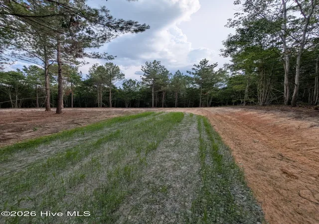 Photo 3 of Land for sale at Tbd Peyton Dr, Eagle Springs, NC 27242 | MLS# 100591264 | Listing updated on 2026-10-07