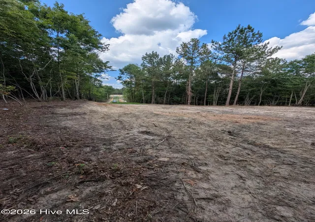 Photo 4 of Land for sale at Tbd Peyton Dr, Eagle Springs, NC 27242 | MLS# 100591264 | Listing updated on 2026-10-07