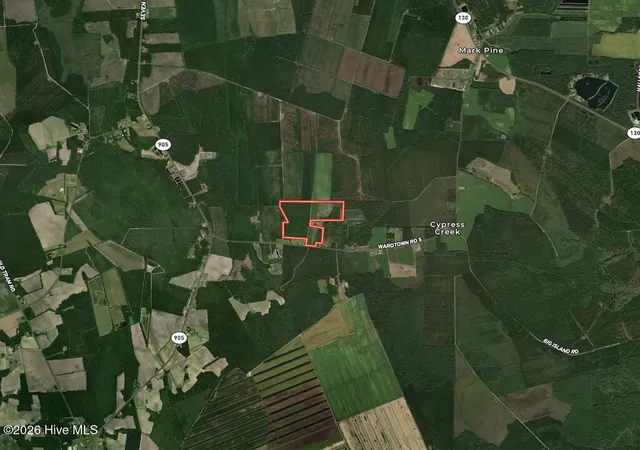 49th image of 00 Ward Town Rd S, Whiteville, NC 28472 | MLS# 100596940