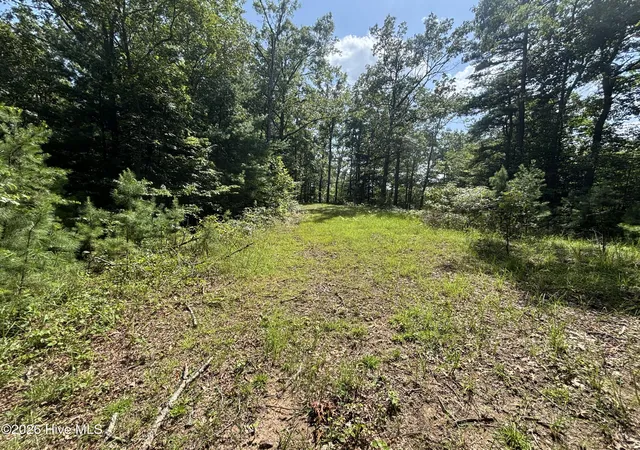 Photo 1 of Land for sale at 5 Majestic Mountain Trl, Murphy, NC 28906 | MLS# 100597408 | Listing updated on 2026-08-22