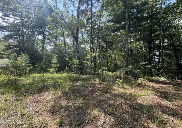 Photo 3 of Land for sale at 5 Majestic Mountain Trl, Murphy, NC 28906 | MLS# 100597408 | Listing updated on 2026-08-22