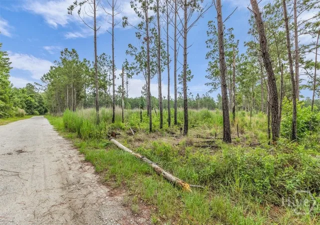 3rd image of 000 Wood Grv Ln, Richmond Hill, GA 31324 | MLS# SA359103