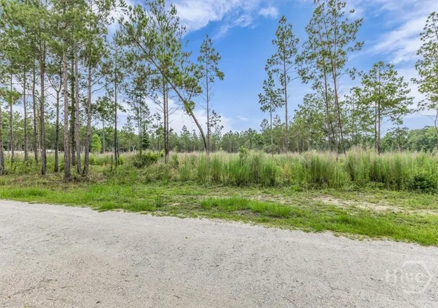 4th image of 000 Wood Grv Ln, Richmond Hill, GA 31324 | MLS# SA359103