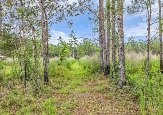 5th image of 000 Wood Grv Ln, Richmond Hill, GA 31324 | MLS# SA359103