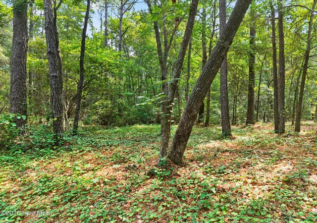 Photo 2 of Land for sale at 3014 Valderama Way Se, Bolivia, NC 28422 | MLS# 100592450 | Listing updated on 2026-08-19