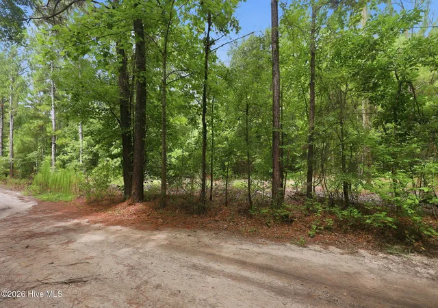 Photo 3 of Land for sale at 0 Copperhead Ln, Burgaw, NC 28425 | MLS# 100592232 | Listing updated on 2026-10-01