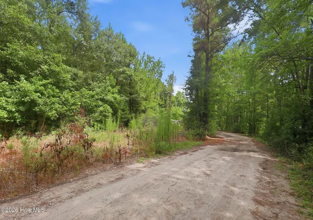 Photo 4 of Land for sale at 0 Copperhead Ln, Burgaw, NC 28425 | MLS# 100592232 | Listing updated on 2026-10-01