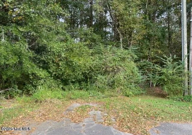 1st image of 0 Near 715 E 1st Ave, Chadbourn, NC 28431 | MLS# 100521002