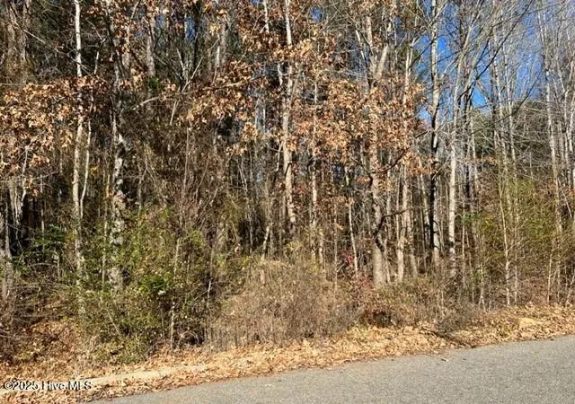 Photo 1 of Land for sale at Tbd Parker St, Ahoskie, NC 27910 | MLS# 100504102 | Listing updated on 2026-08-19