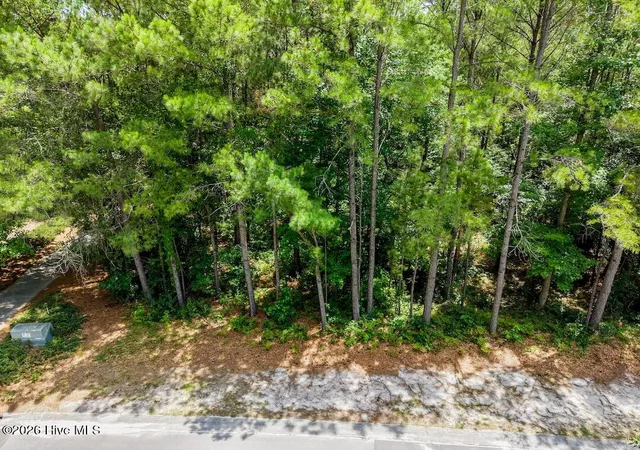 Photo 2 of Land for sale at 289 River Ridge Dr, Wallace, NC 28466 | MLS# 100598432 | Listing updated on 2026-09-12