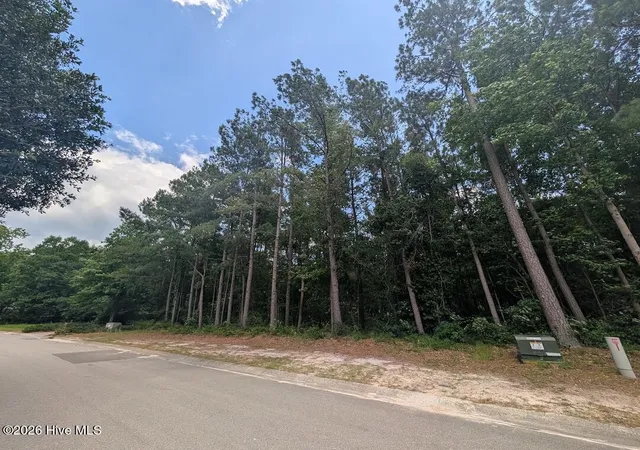 Photo 3 of Land for sale at 289 River Ridge Dr, Wallace, NC 28466 | MLS# 100598432 | Listing updated on 2026-09-12