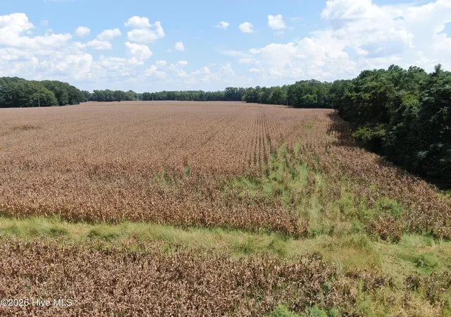 Photo 22 of Land for sale at Tbd Pleasant Hope Rd, Fairmont, NC 28340 | MLS# 100598998 | Listing updated on 2026-08-26