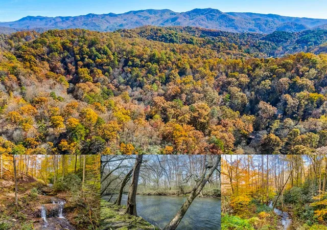 Photo 1 of Land for sale at 00 Jasmine Dr, Marble, NC 28905 | MLS# 98531765 | Listing updated on 2026-08-19