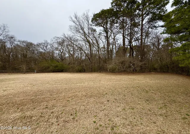 Photo 2 of Land for sale at 102 Colt Ct, Pikeville, NC 27863 | MLS# 100597769 | Listing updated on 2026-08-24