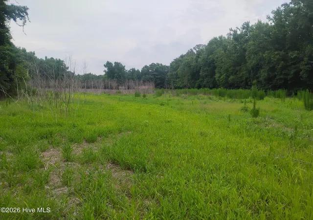 Photo 3 of Land for sale at 325 Brothers Ln, Jacksonville, NC 28546 | MLS# 100593862 | Listing updated on 2026-08-26